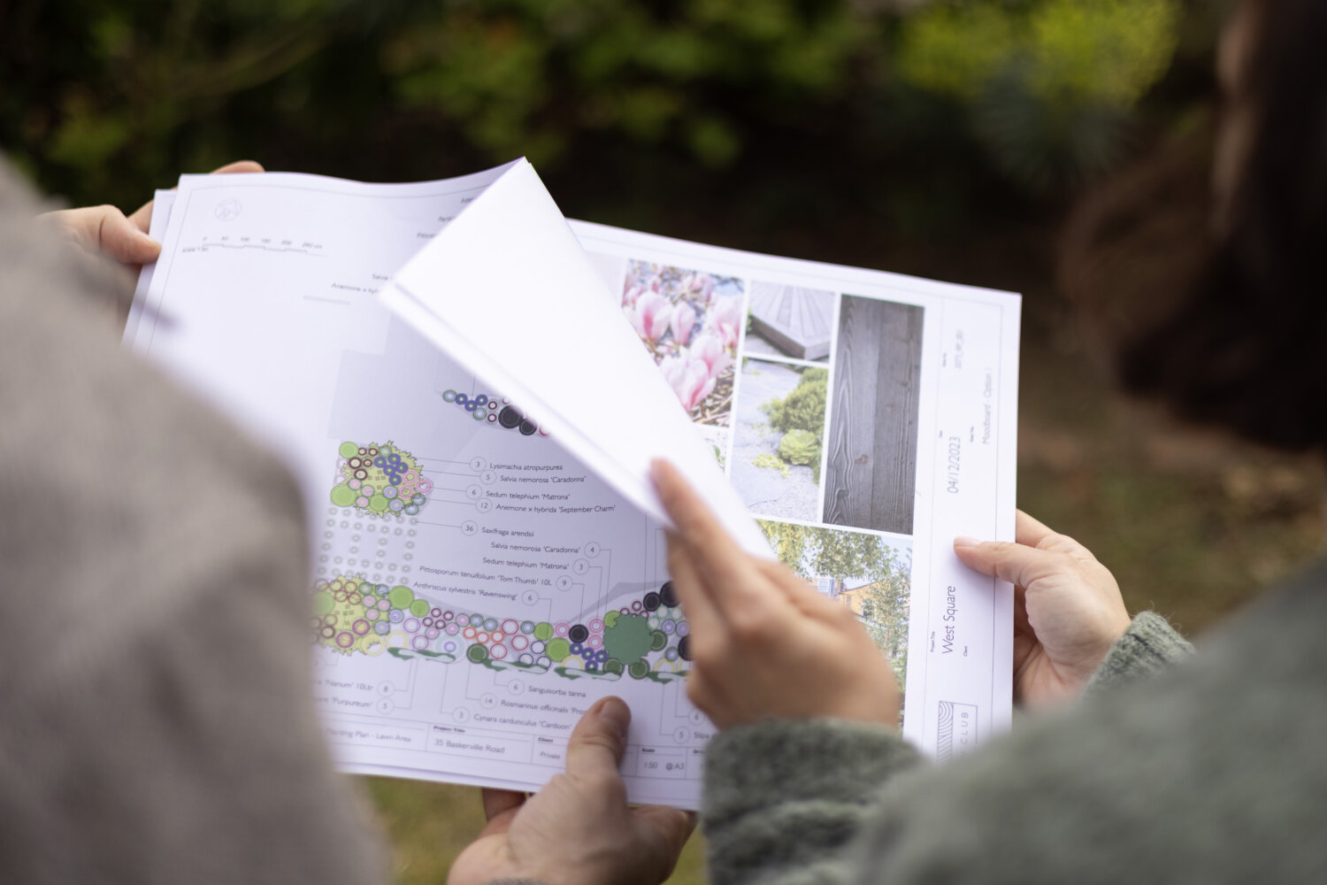 Landscape specialist reviewing an illustrative planting and materials plan